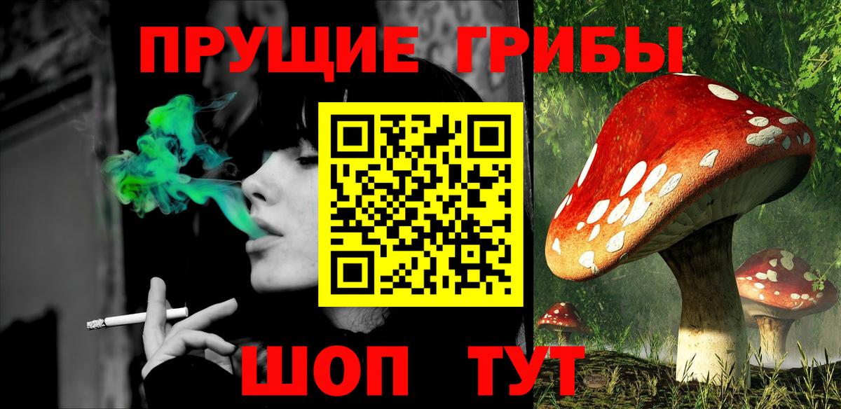 Галлюциногенные грибы прущие грибы Белово