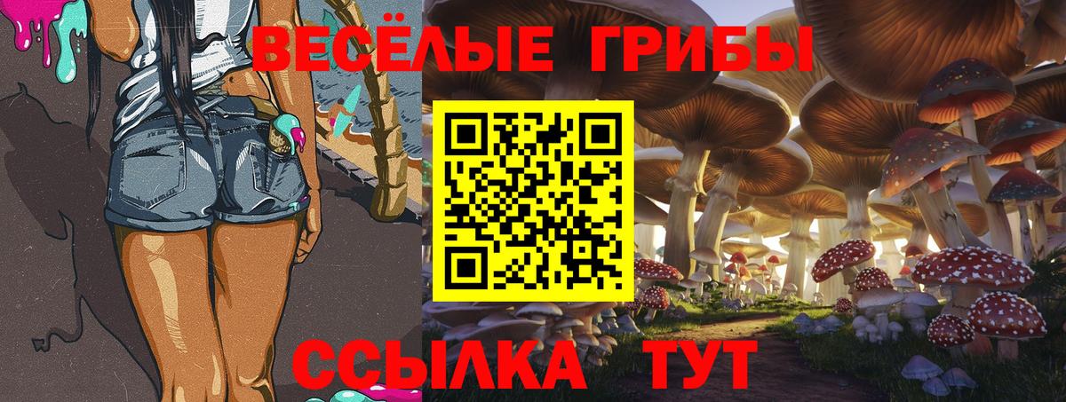 Псилоцибиновые грибы Magic Shrooms  Вход с VPN  Белово 